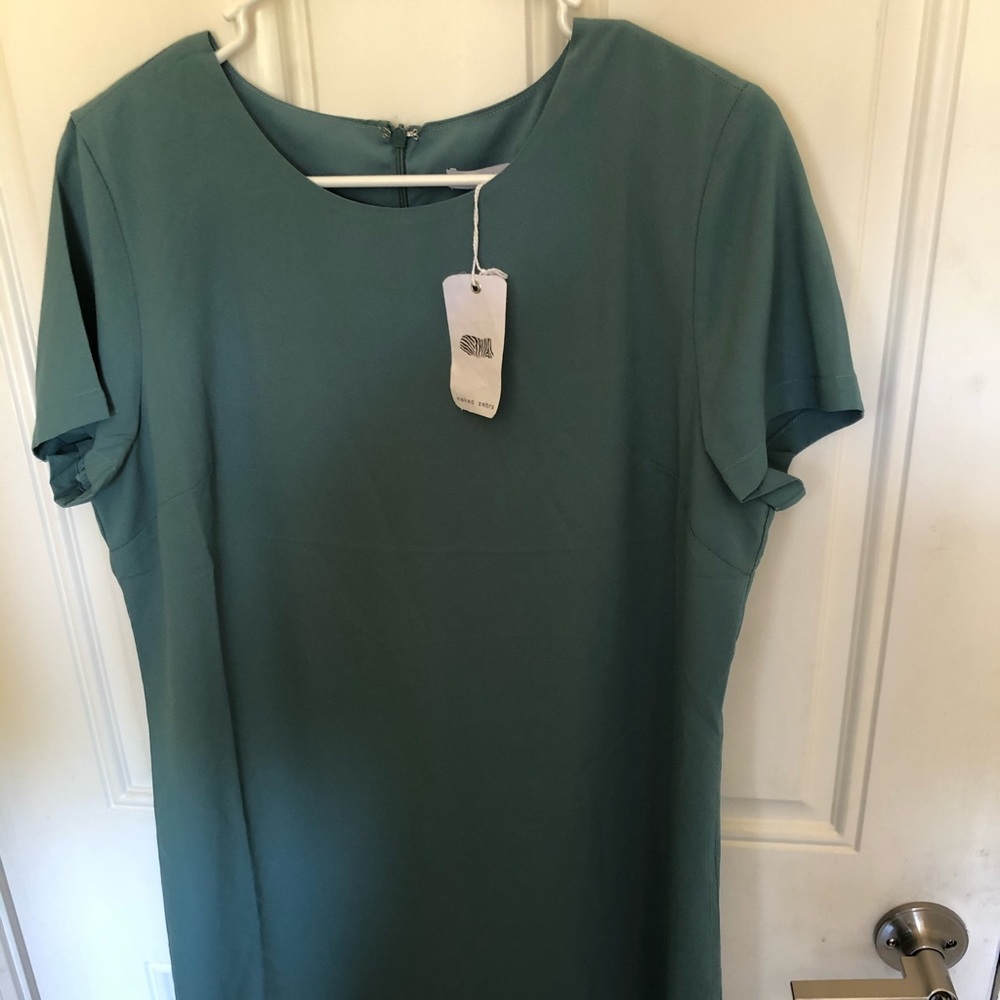 Naked Zebra Teal Tunic in Large